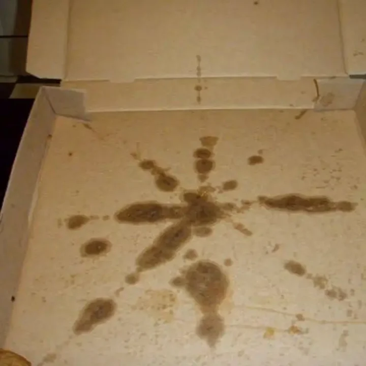 waste pizza box